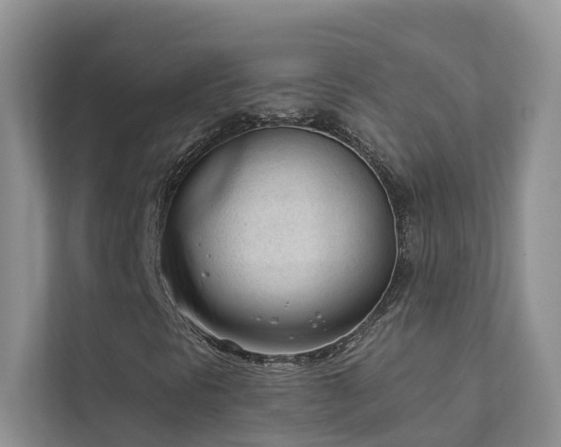 X0000111611297200907171216