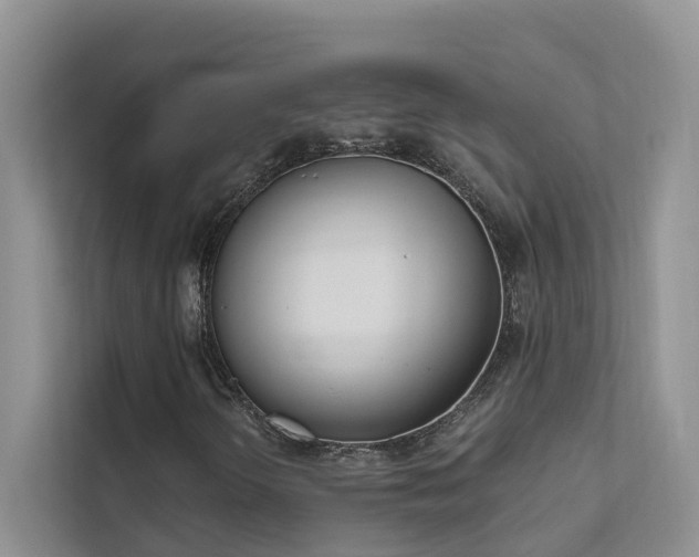 X0000111611298200907171216