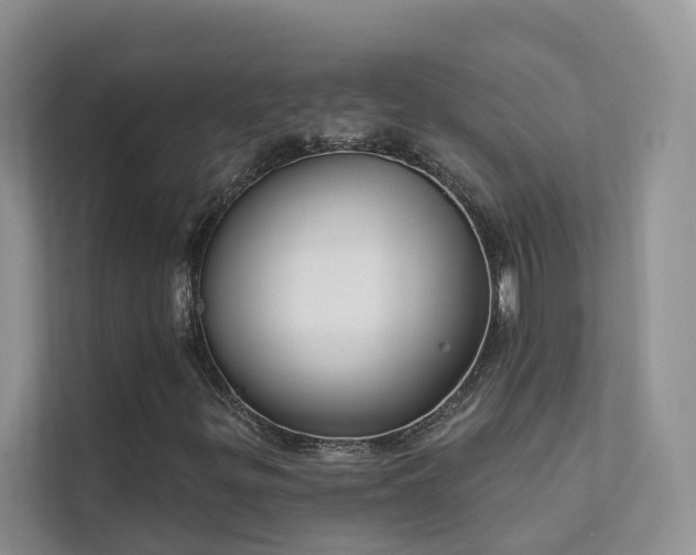 X0000111611299200907171216
