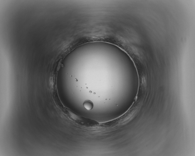 X0000111611300200907171216