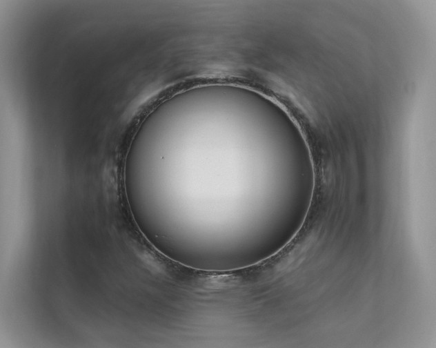 X0000111611304200907171216