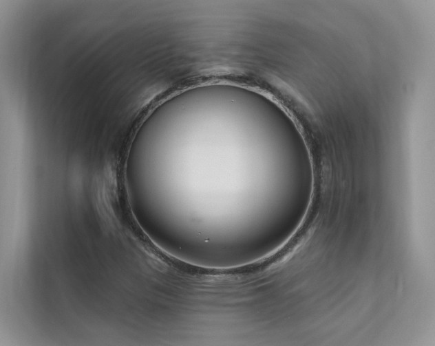 X0000111611305200907171216