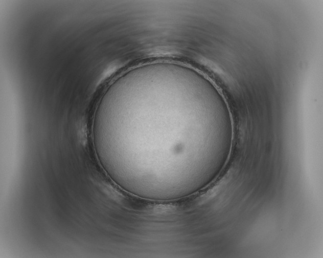X0000111611306200907171216