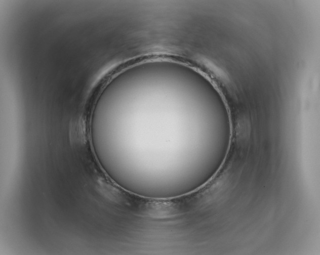 X0000111611310200907171216