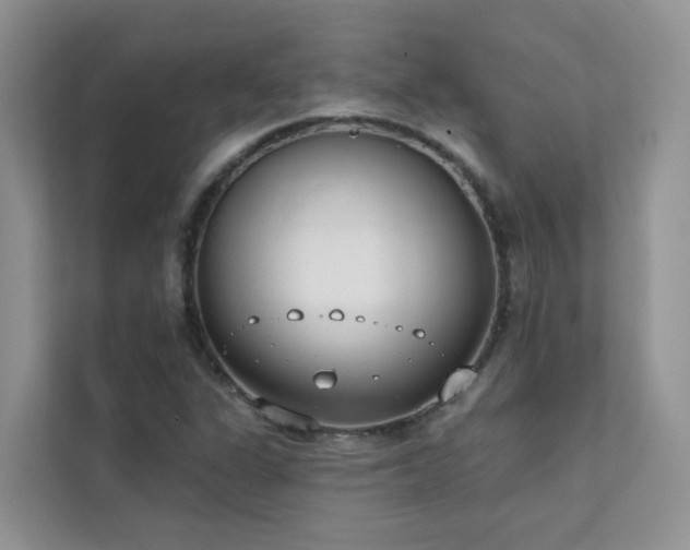 X0000111611311200907171216