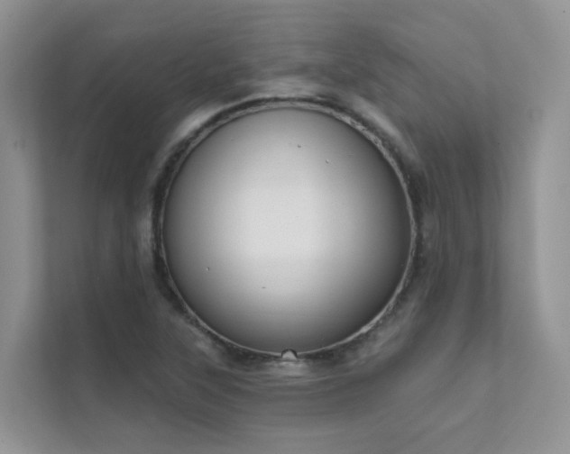 X0000111611315200907171216