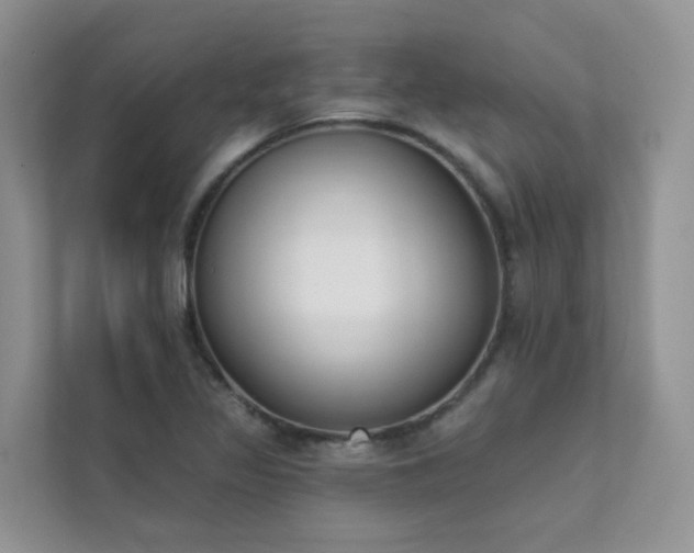 X0000111611317200907171216