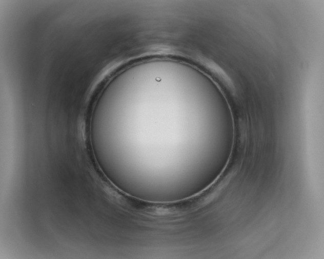 X0000111611318200907171216