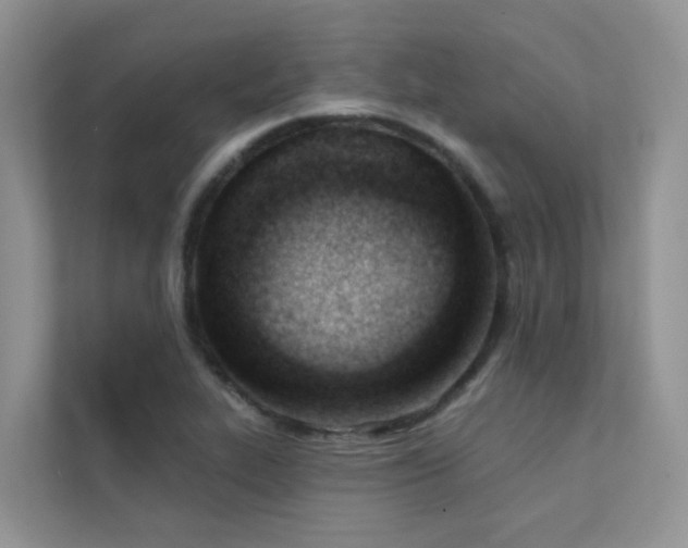 X0000111611319200907171216