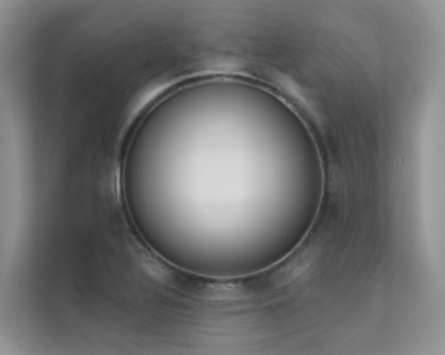 X0000111611320200907171216