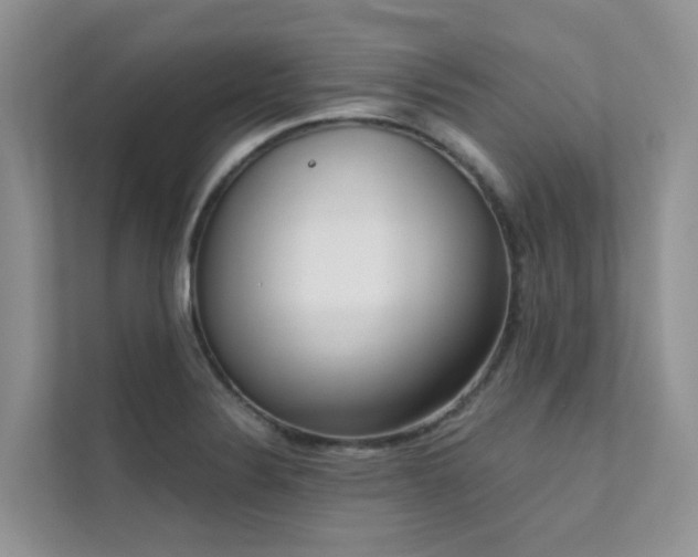 X0000111611324200907171216