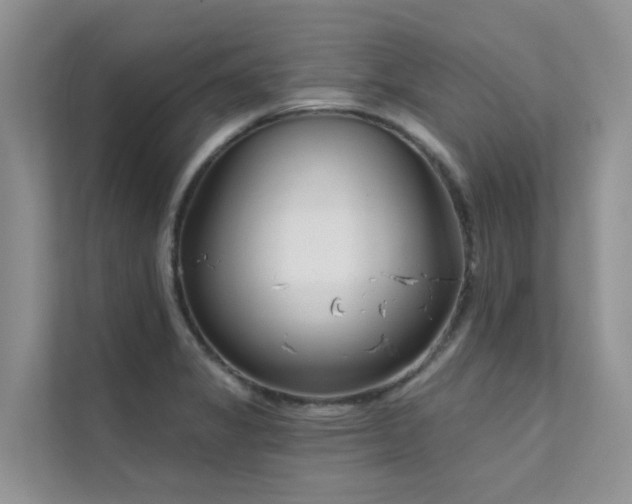 X0000111611325200907171216