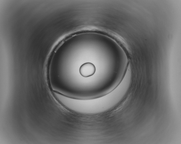 X0000111611326200907171216