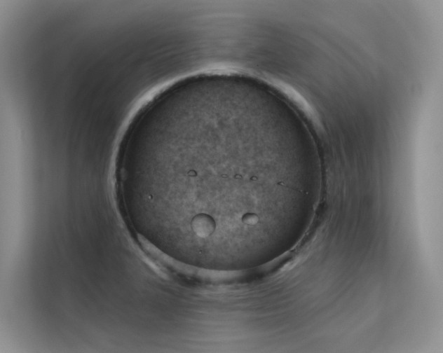 X0000111611327200907171216