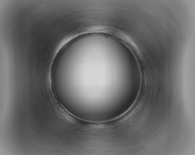 X0000111611328200907171216