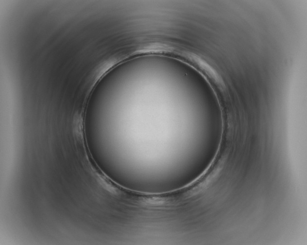 X0000111611329200907171216