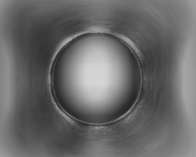 X0000111611335200907171216