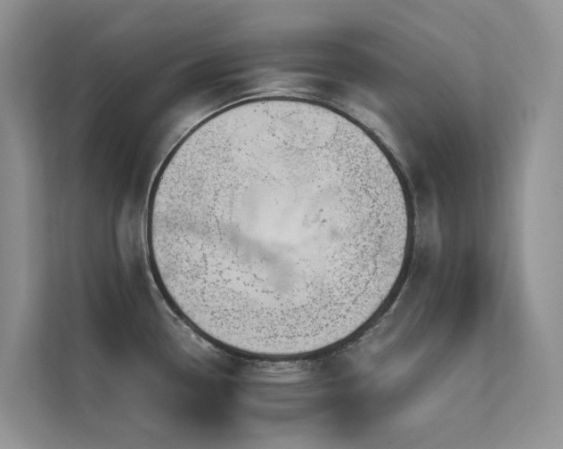 X0000111611338200907171216