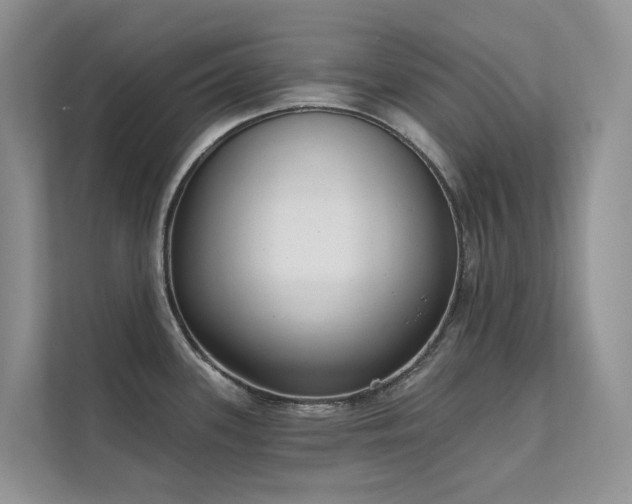 X0000111611339200907171216