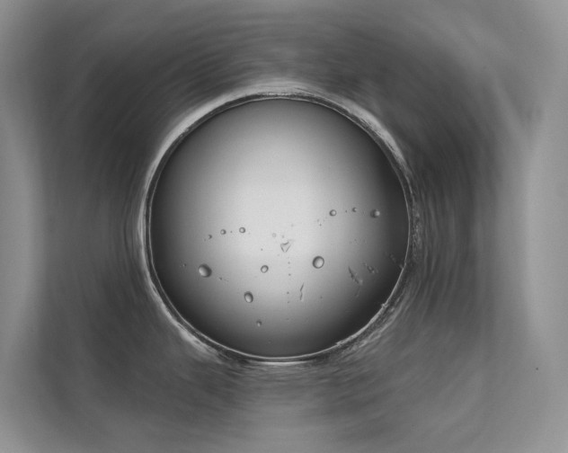 X0000111611343200907171216