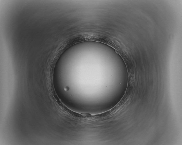 X0000111611345200907171216
