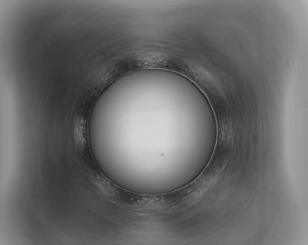 X0000111611346200907171216
