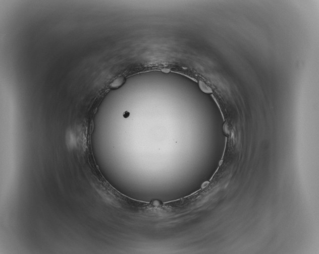 X0000111611348200907171216