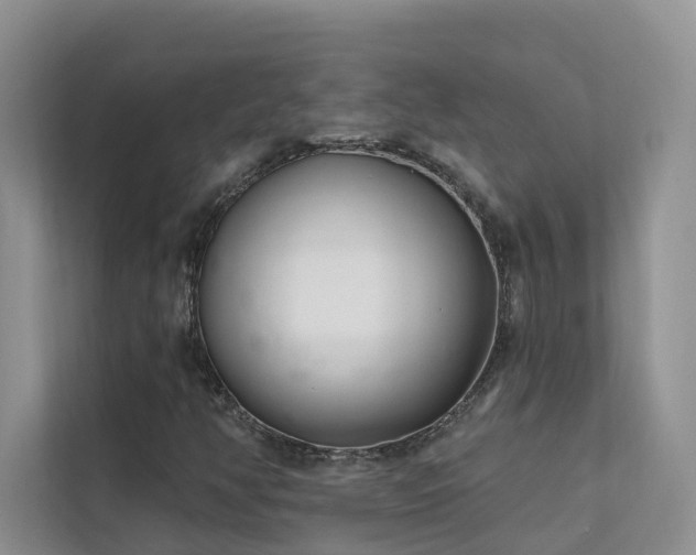 X0000111611350200907171216