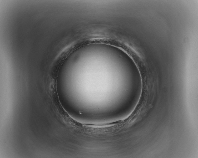 X0000111611351200907171216