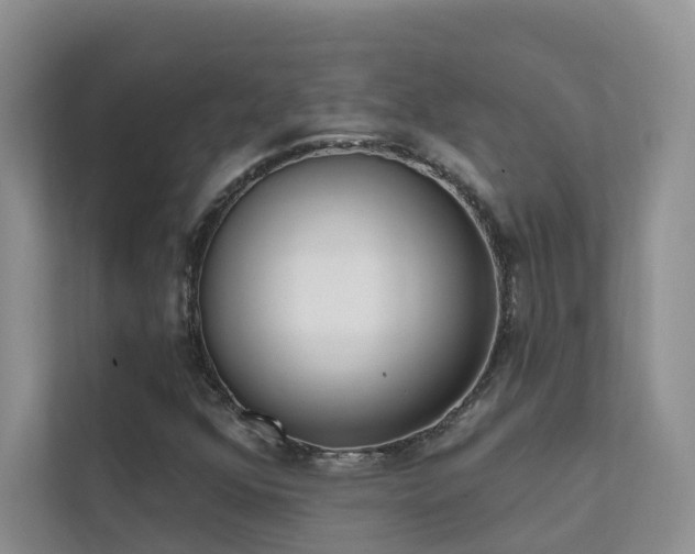 X0000111611352200907171216
