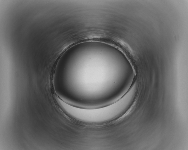 X0000111611353200907171216