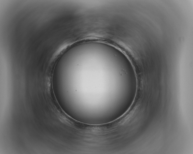 X0000111611355200907171216