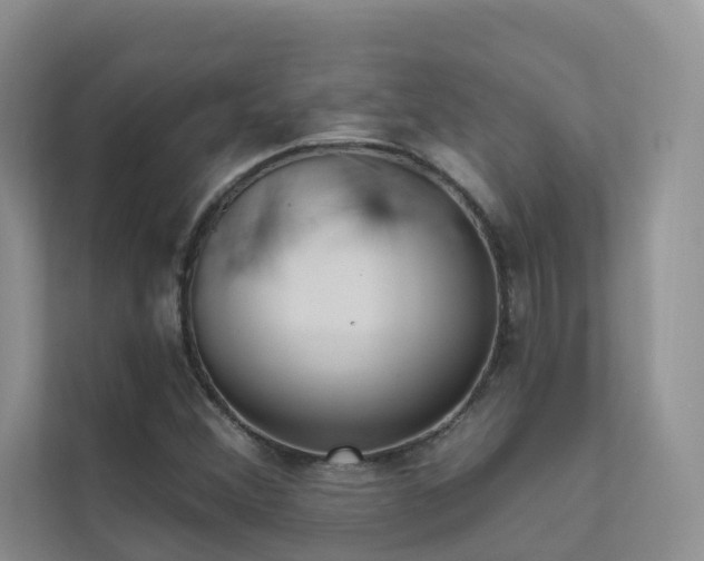 X0000111611356200907171215