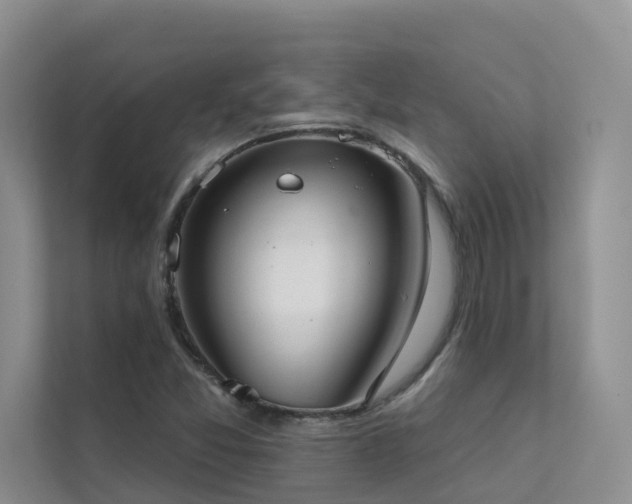 X0000111611357200907171215