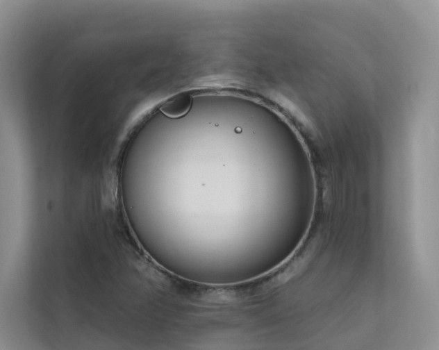X0000111611358200907171215