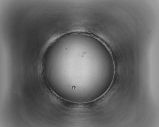 X0000111611359200907171215