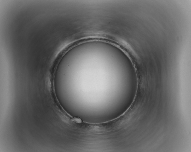 X0000111611360200907171215