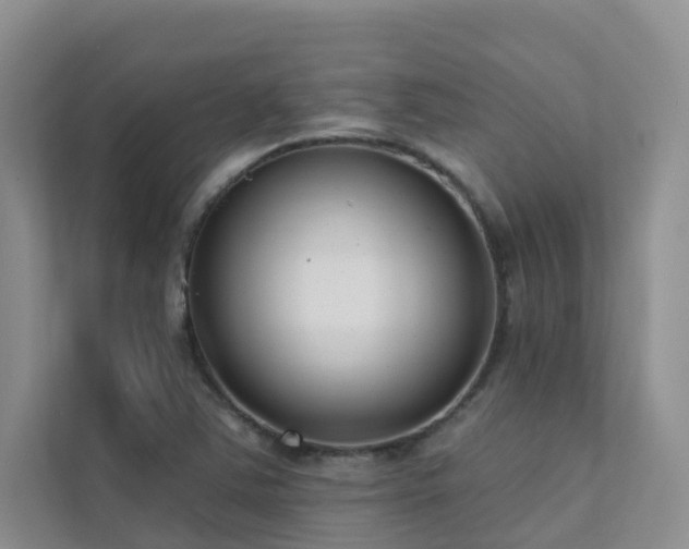 X0000111611363200907171215