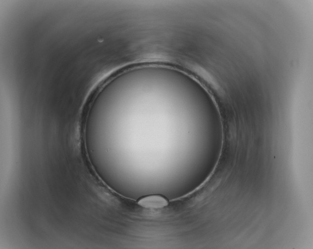 X0000111611364200907171215