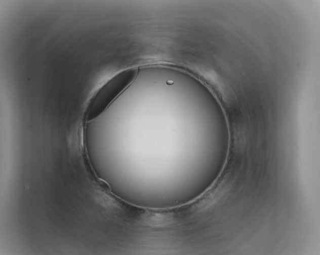 X0000111611365200907171215