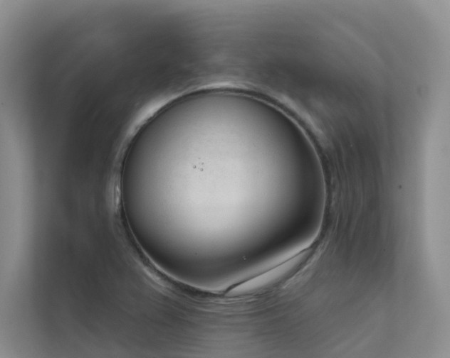 X0000111611367200907171215
