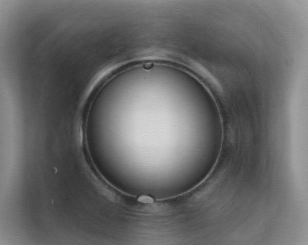 X0000111611368200907171215