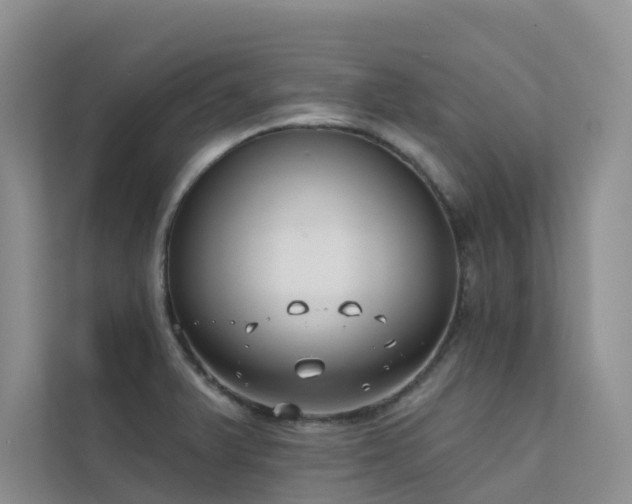X0000111611375200907171215
