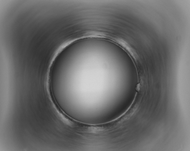 X0000111611379200907171215