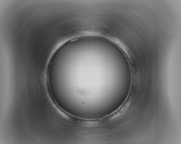 X0000111611381200907171215