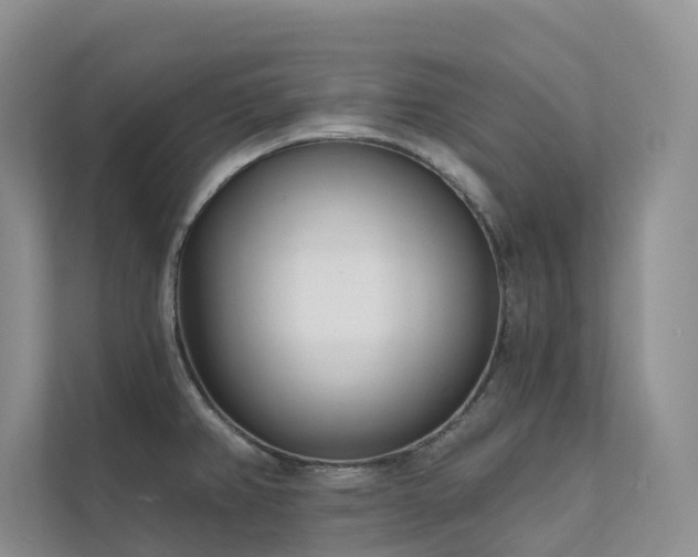 X0000111611382200907171215