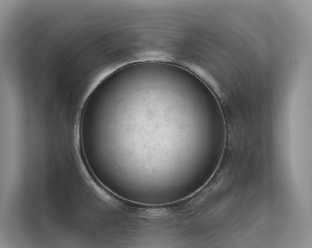 X0000111611383200907171215
