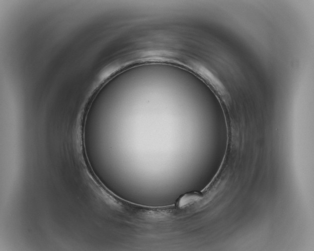 X0000111611384200907171215