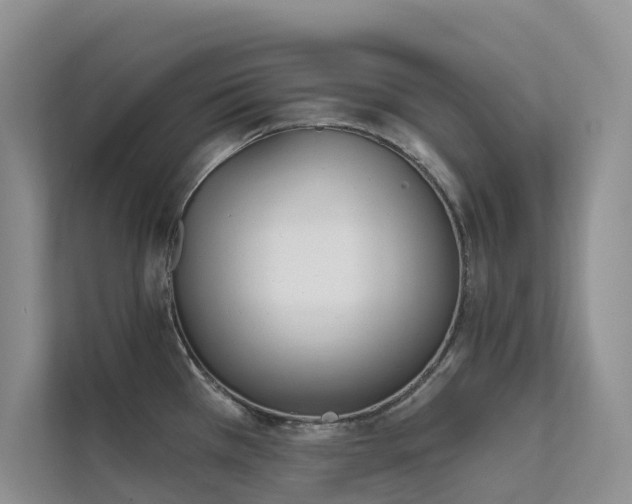 X0000111611385200907171215