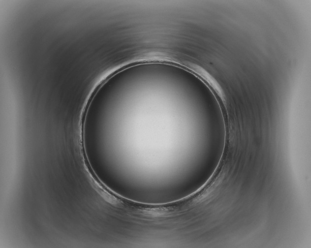 X0000111611388200907171215